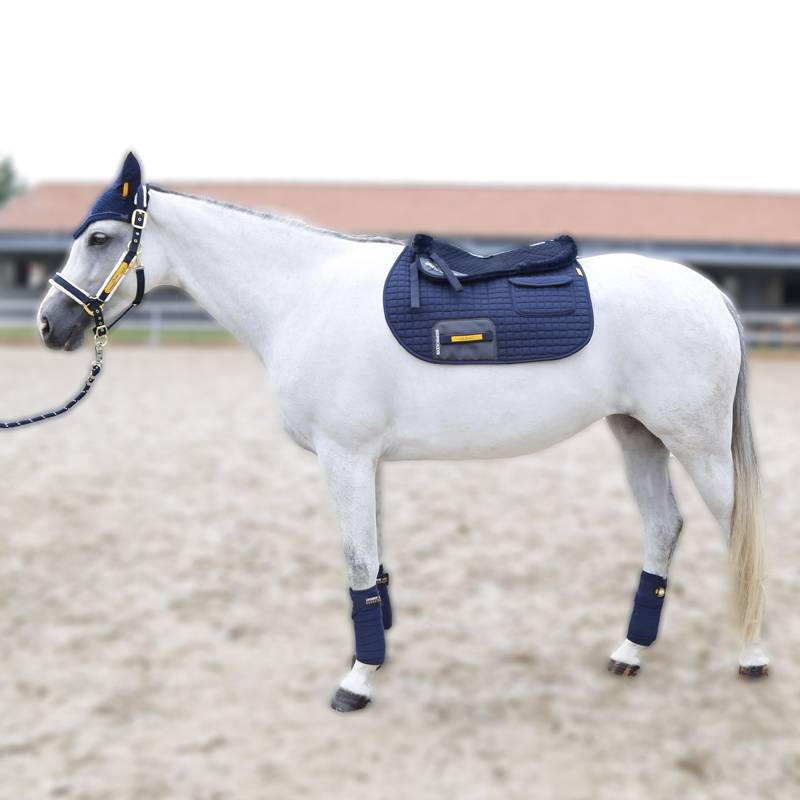 Luxury light luxury horses set horses decorative horses horses rope earmuffs tie legged wool pad
