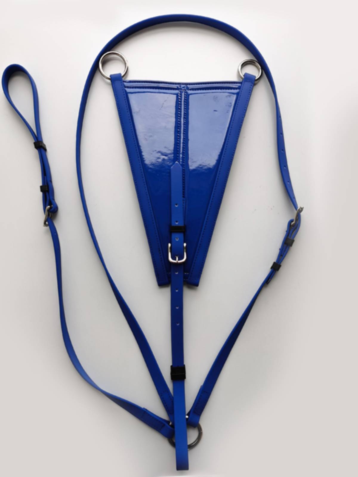 A HORSE WITH A PVC PVC BRA AND A LONG-DISTANCE PVC BRA ON A BRITISH TURBAN WITH A GIRAFFE