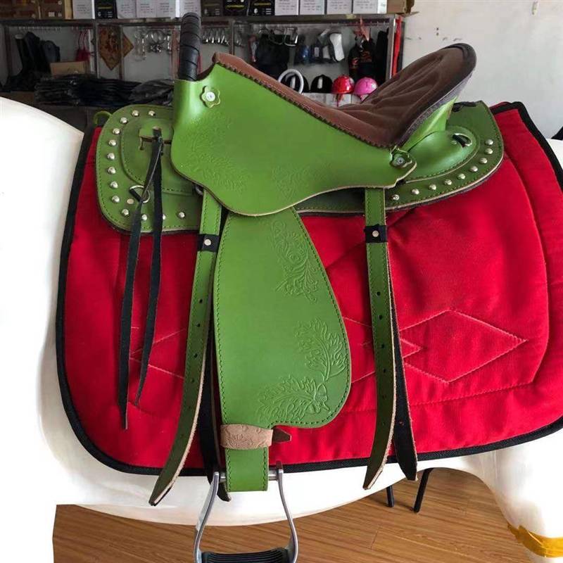 A new brand-new saddle for new coach tourists