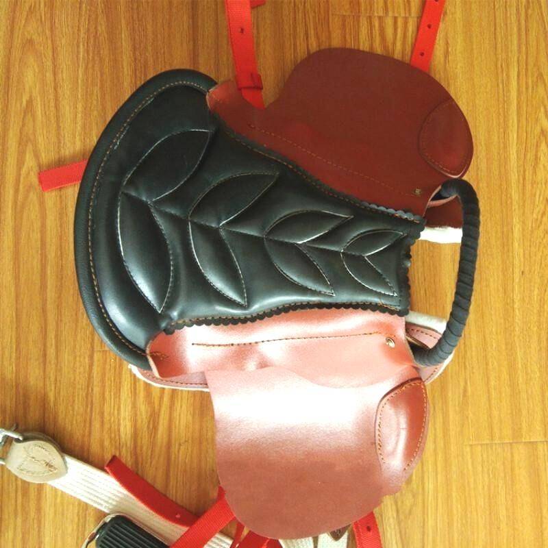 Amarfoust's saddle is full of saddles