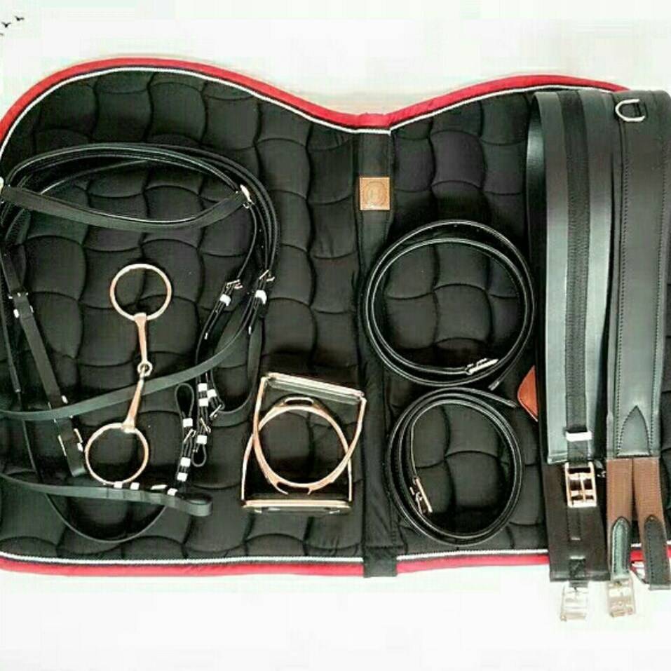 High-quality, full-size saddled new coach with a special-priced package of soft, comfy and non-changed saddles