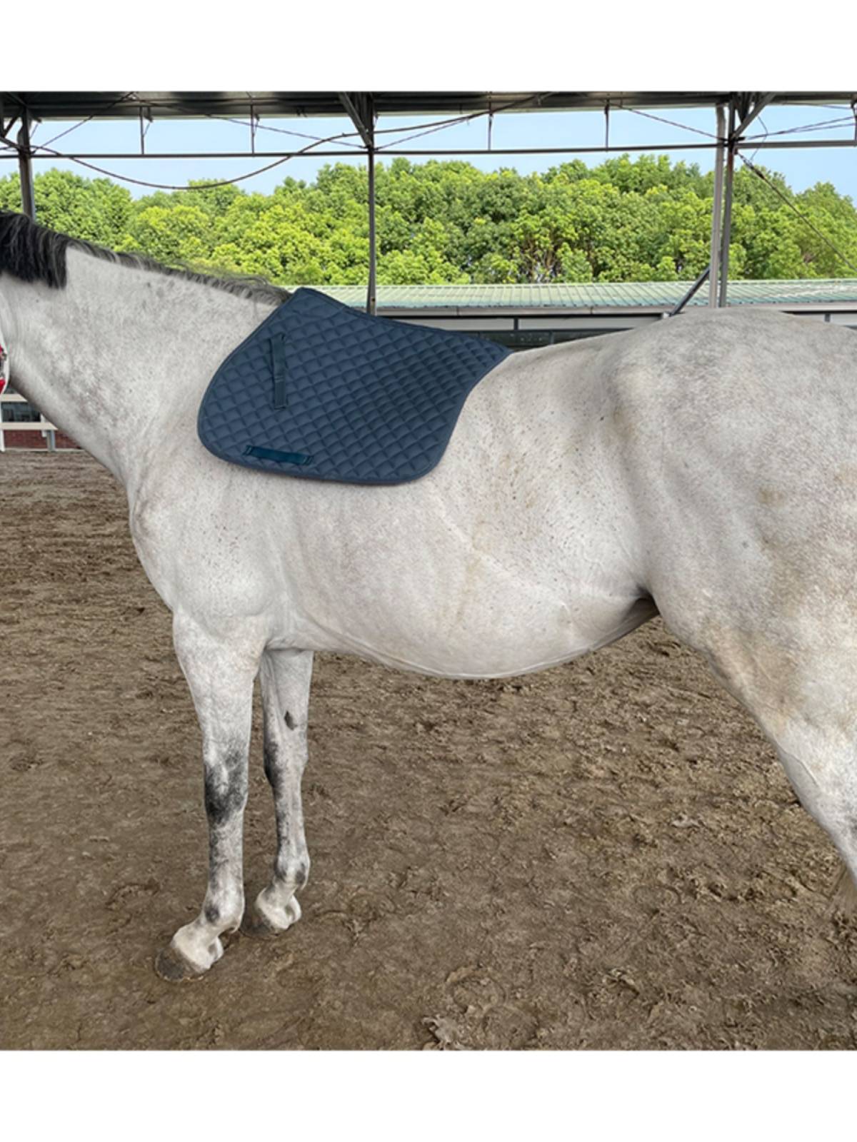 EPONA saddle pad sweat pad sweat suction drawer riding pad equestrian sports horse equipment