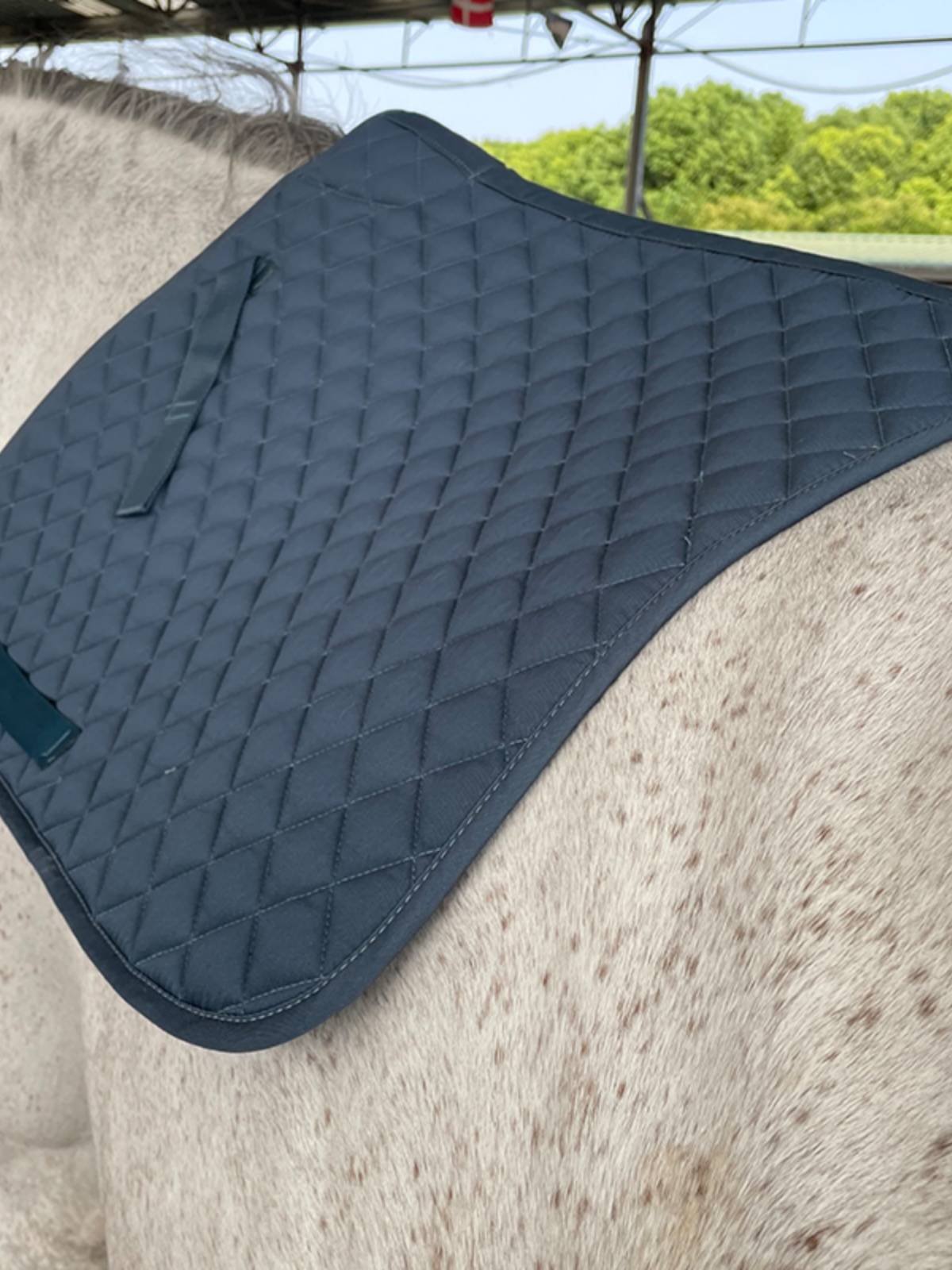 EPONA saddle pad sweat pad sweat suction drawer riding pad equestrian sports horse equipment