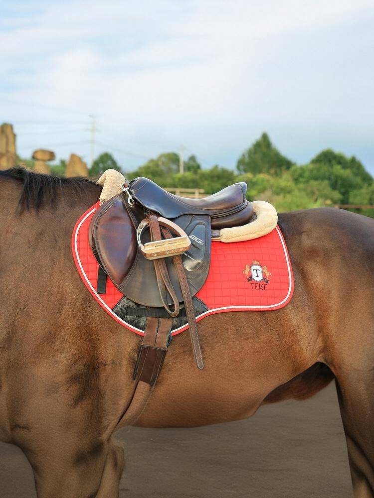 The saddle-seap-barrel-barrel race is full of sweats