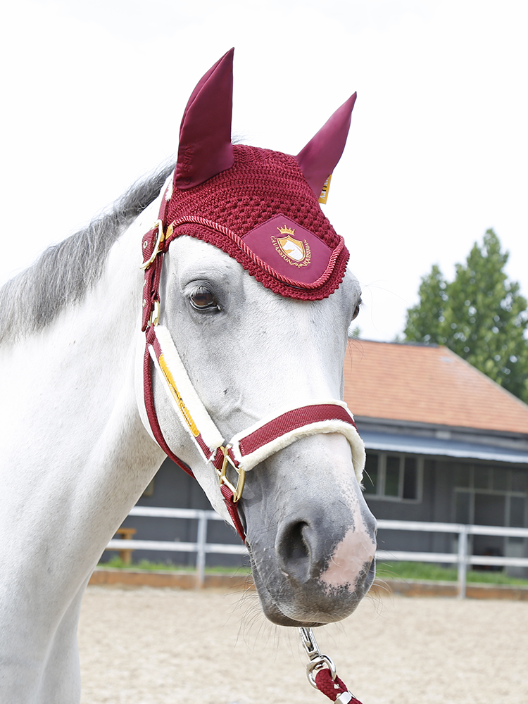Cavassion-luxury Equestrian set horse cage horses hooded ear hood tie leggings wool pad