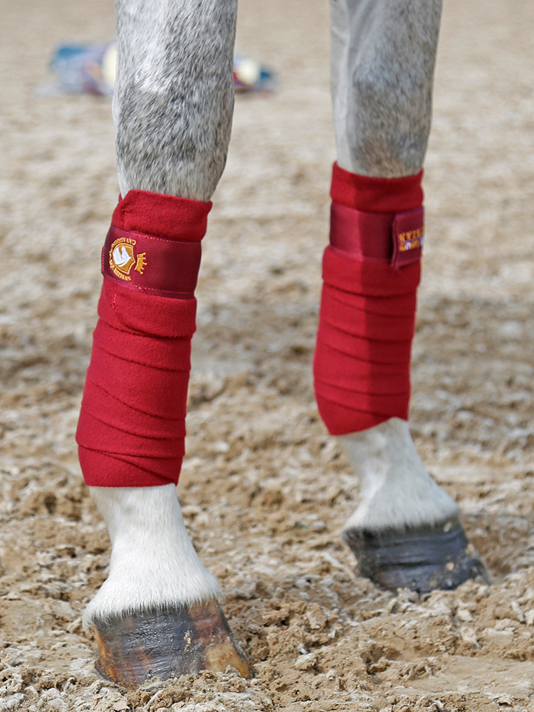 Cavassion-luxury Equestrian set horse cage horses hooded ear hood tie leggings wool pad