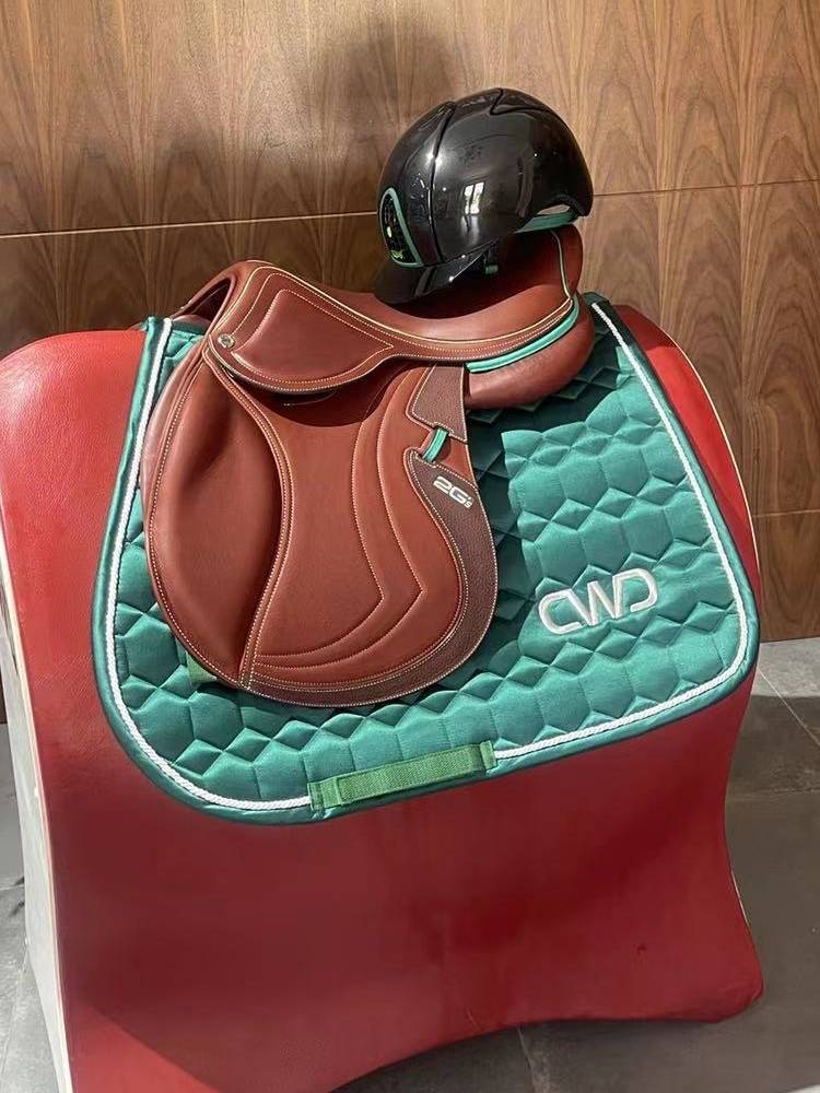 French CWD (2GS) saddle imported saddling saddle pommels Paladin horse furniture