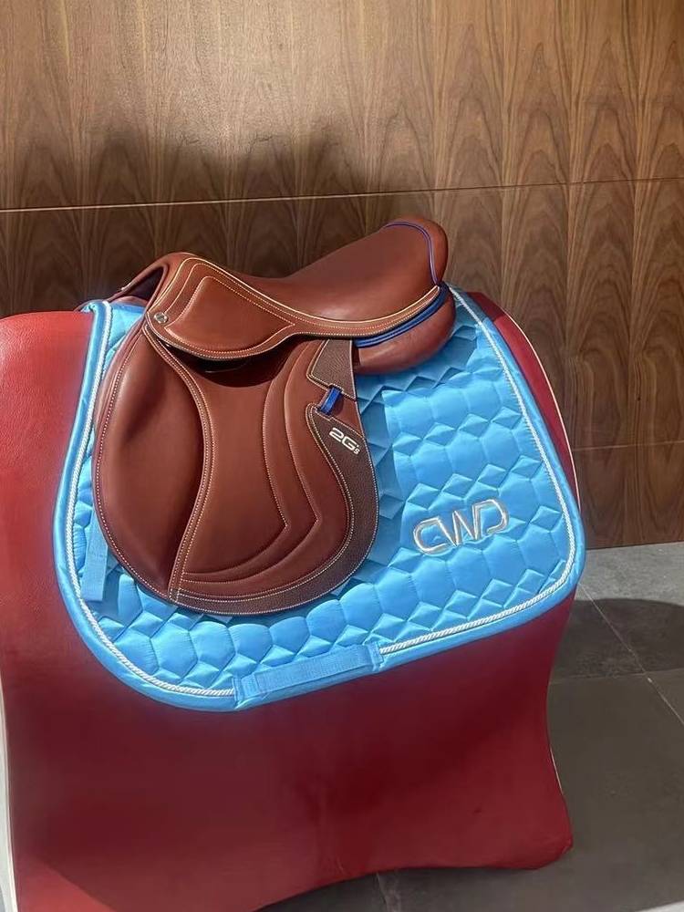 French CWD (2GS) saddle imported saddling saddle pommels Paladin horse furniture