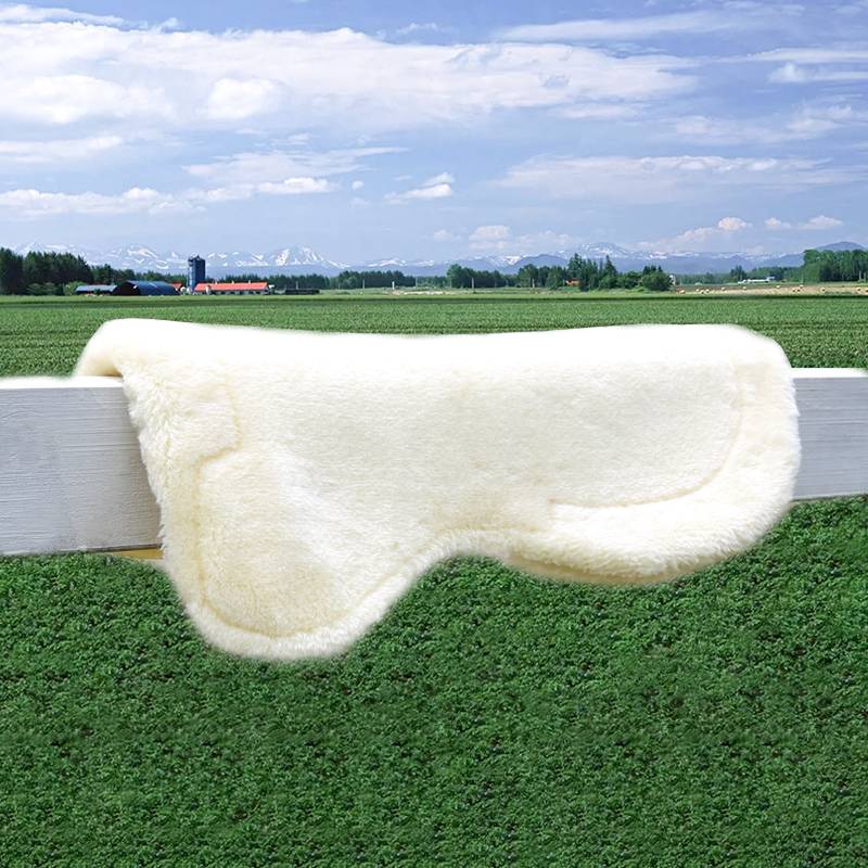 Cavassion Silicone Wool Blood Blood Equestnic Settlement Saded Sadford Logic Horse 8210014