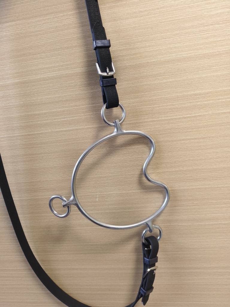 Stainless Steel Madrid Malaysia -type tuning horses iron PVC bowing heads and riding ride horseshler coat horses horses equestrian supplies