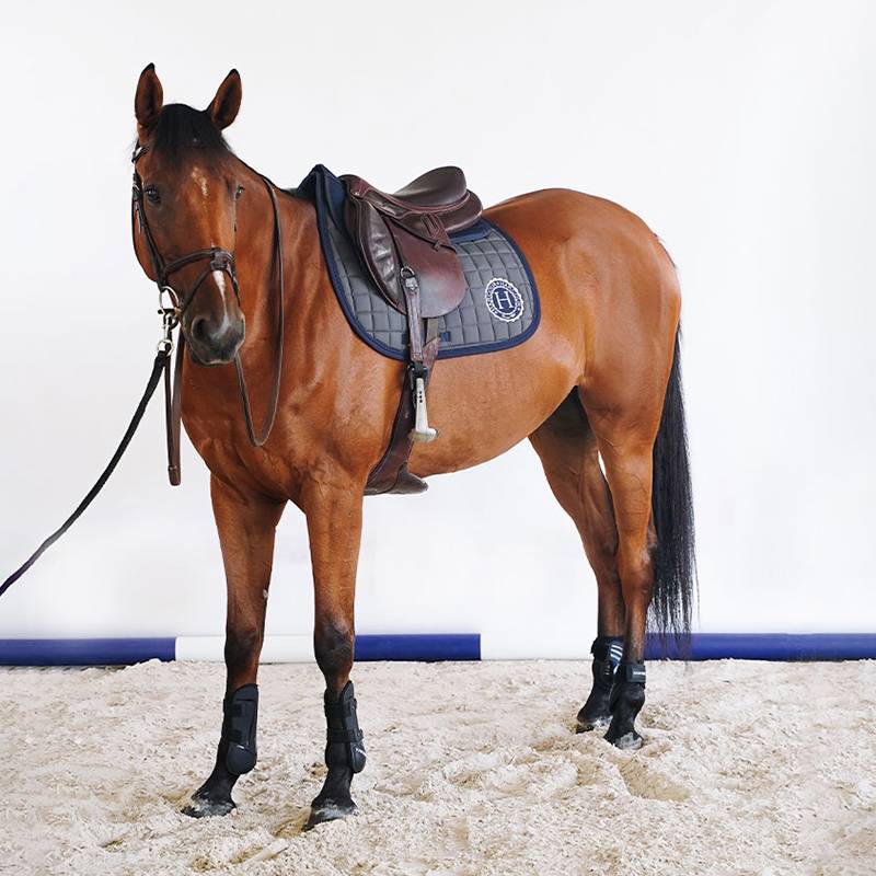 EARCOUR