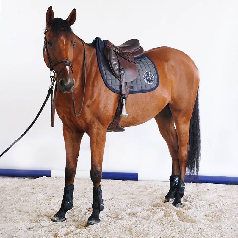 EARCOUR