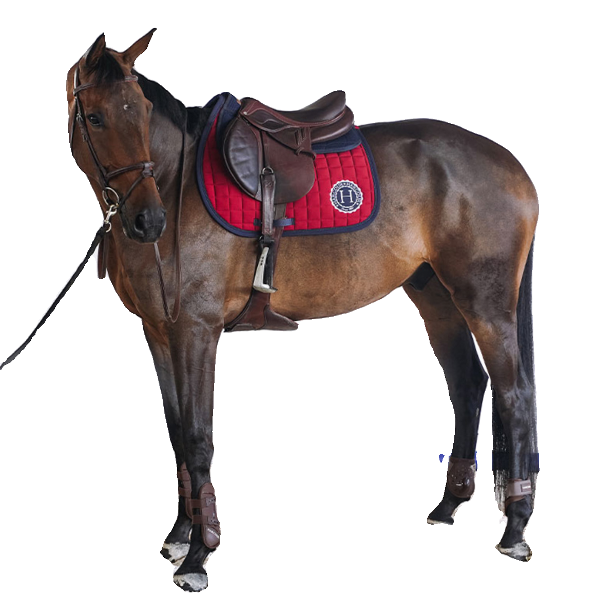 EARCOUR