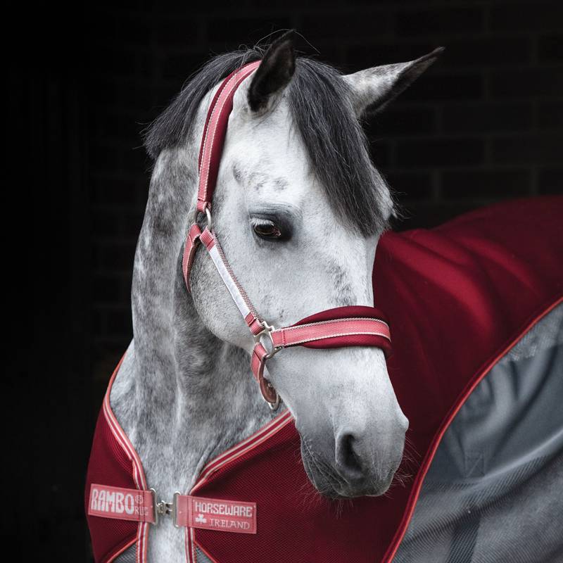Horseware Fashion Set Scfer Cushion Cushion Ear Hand Tie Leg Tuchou Ma'an Cushion 8216003