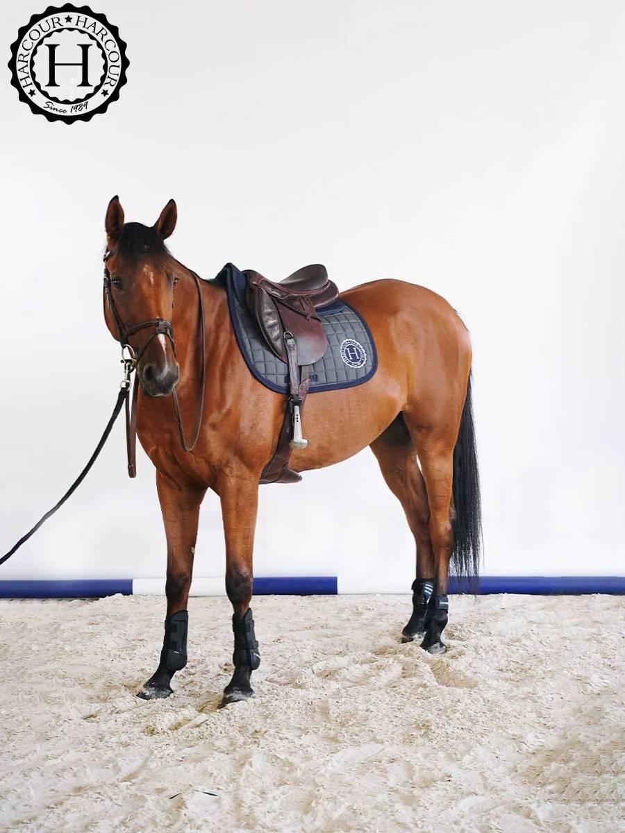 Safine Saddle Pad French loose pressure pads fixed system saddle cushion