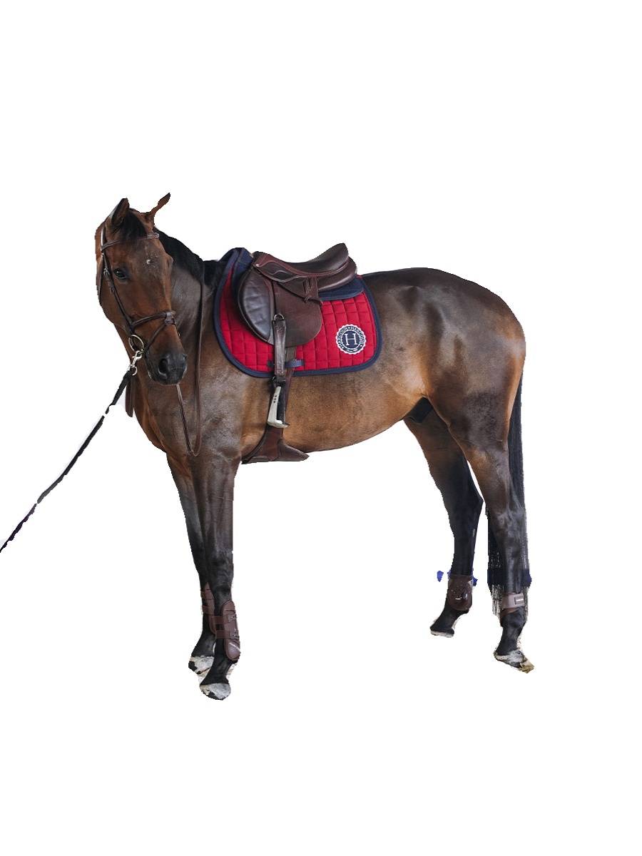 Safine Saddle Pad French loose pressure pads fixed system saddle cushion