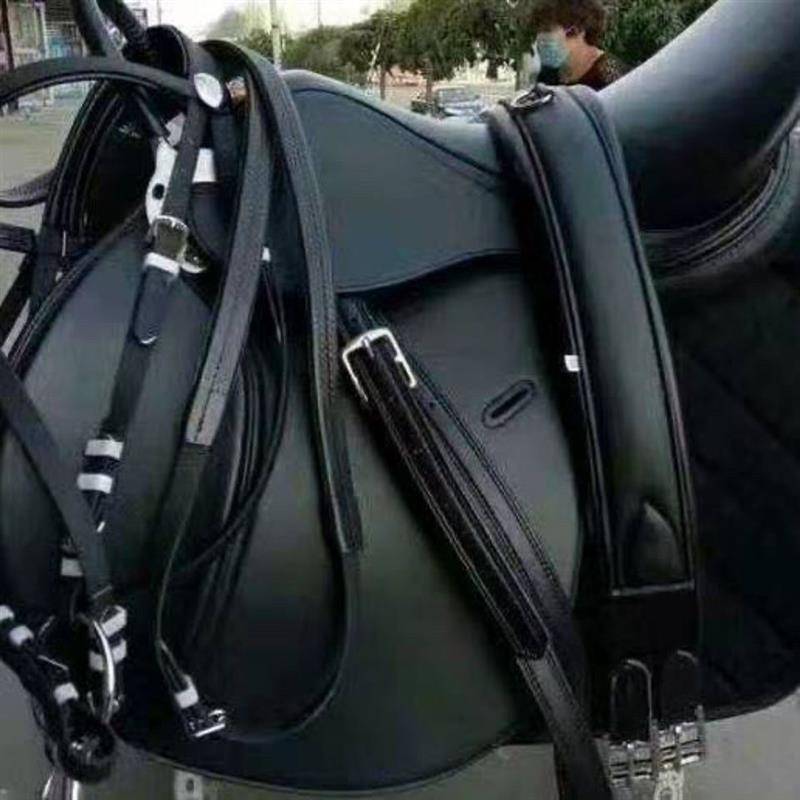 The horse saddles, the new guy on the saddle, the tummy belts teaching the saddles