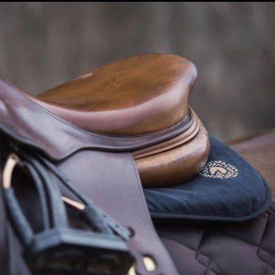 Horse technology, two-and-a-one