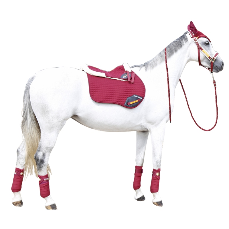 Cavassion Equestrian Cushion Cushion Pad Evapoly Pad Equipment Mounting Horse Pocket 8210097
