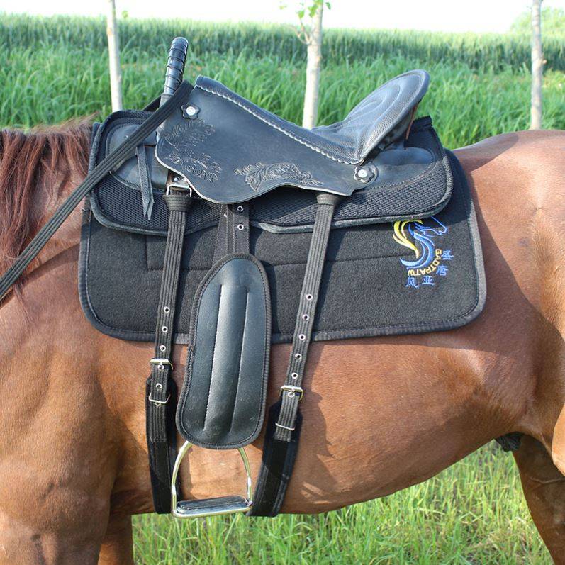 Black horse saddle + line with a full set