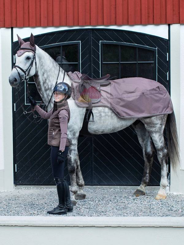 Germany direct mail low -cost promotional equestrian horse riding royal noble nobles, purple -sweat drawer saddles, pad legs 3 pieces of