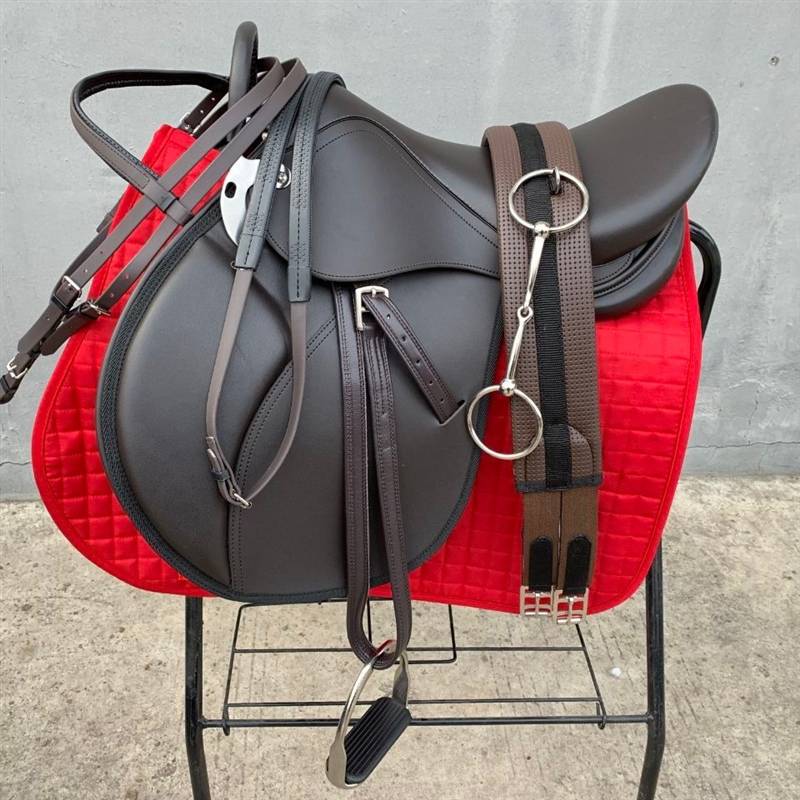 Horse, black