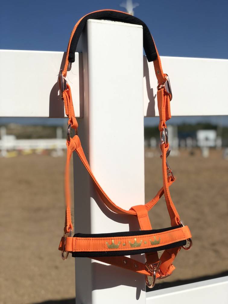 The orange horse is in the center