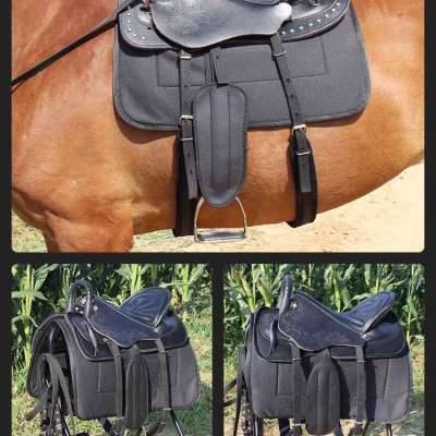 A saddle-stamped pony with a full set of ox-skin-pistols