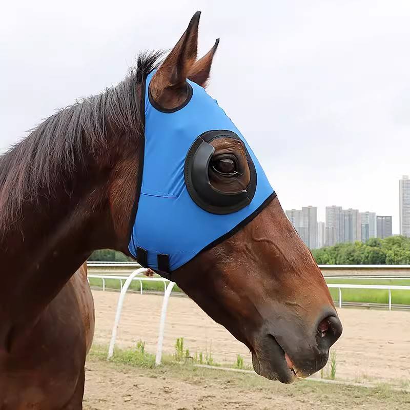 Horse horses are half-packed