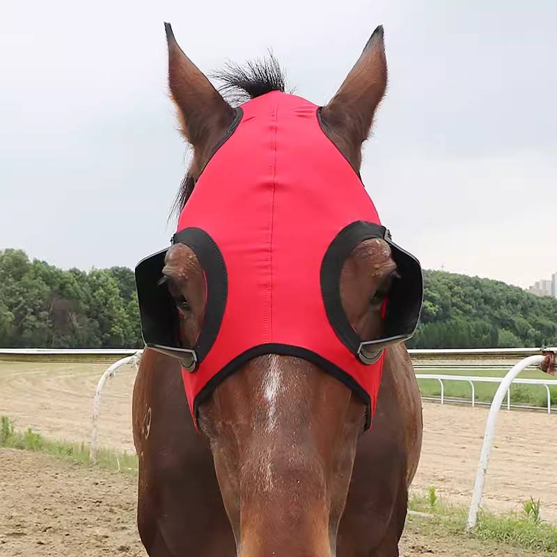 Horse horses are half-packed