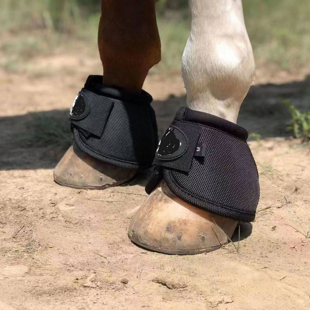 Horse hooves hooves hooves hooves hooves hooves hooves hooves hooves hooves hooves hooves hooves hooves hooves