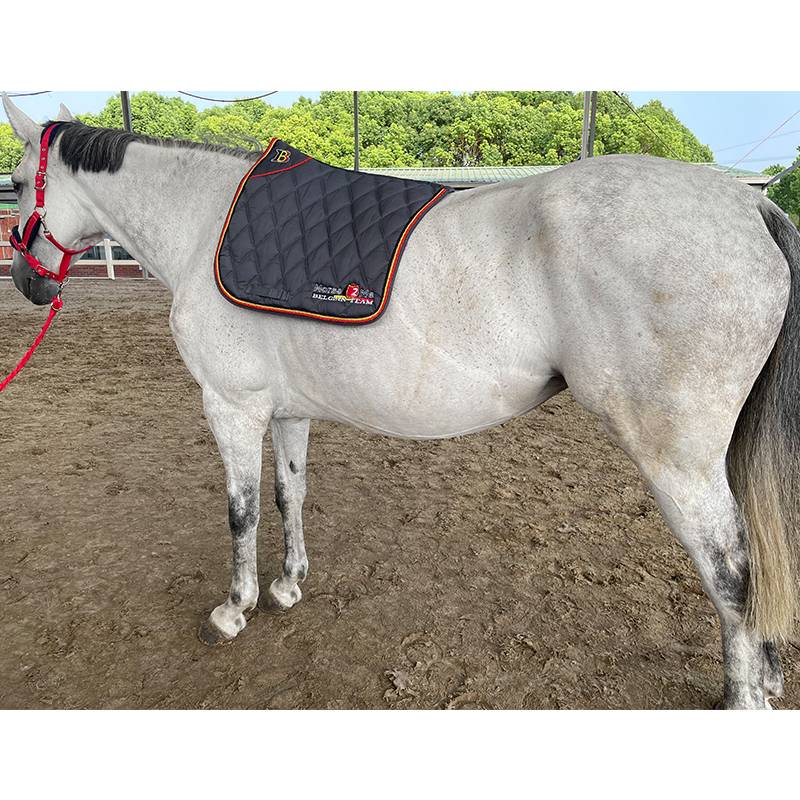 Horse2me Belgian national team dance steps saddle cushion sweat cushion pups sports horse products