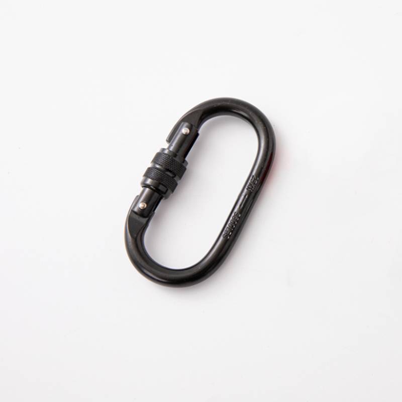 Accelerator. Black
