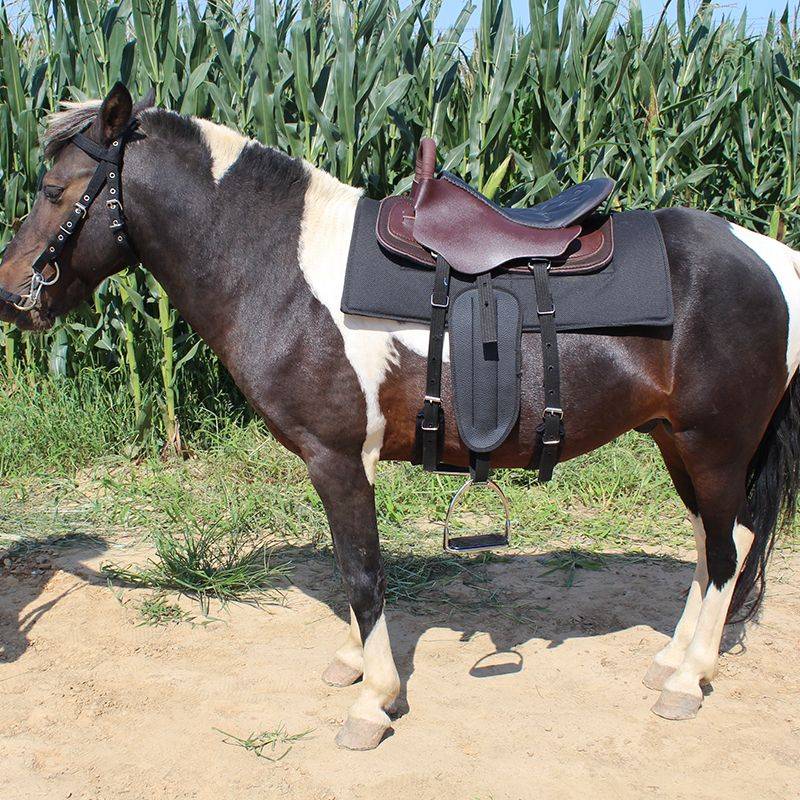 The saddles, the saddles, the new horse-skin-sized, short-sized horse-scrambling