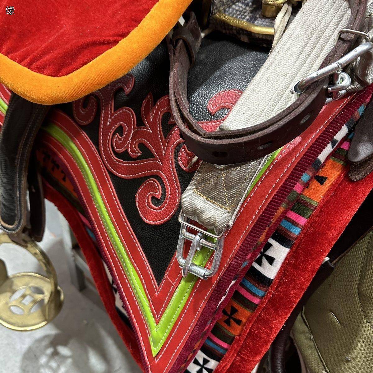 A special set of special items for the Tibetan leather of the horse turbo turquoise