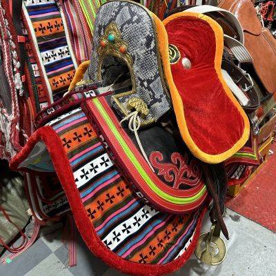 A special set of special items for the Tibetan leather of the horse turbo turquoise