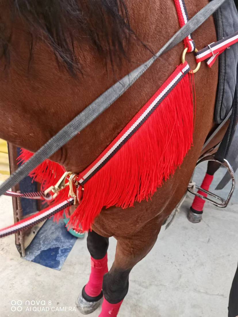 A horse's pecs with a graft and a graft