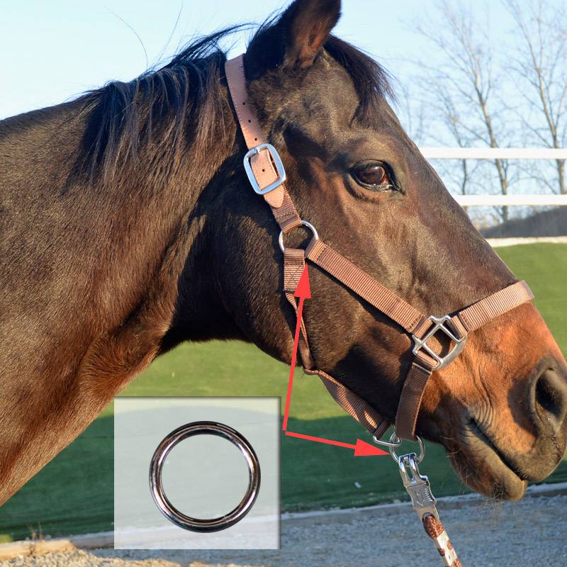Ponys, troves of metal