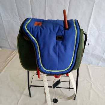 Horse blue
