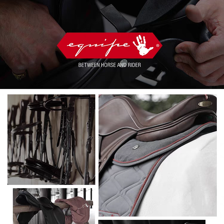 Italy imports Equipe Equestrian Saders Adult Children Children's Disorders Sadoust Equipment Equipment Saddle Professional Equestrian
