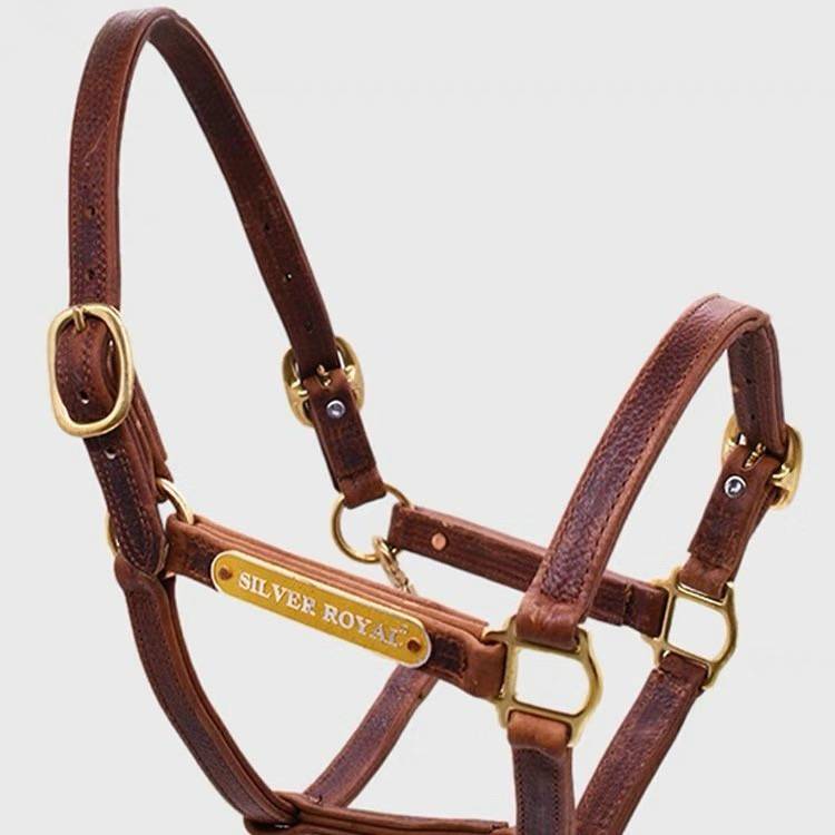 British imported all -cowhide horses, horses, horses, horses and horses tools led horse dragon equestrian supplies