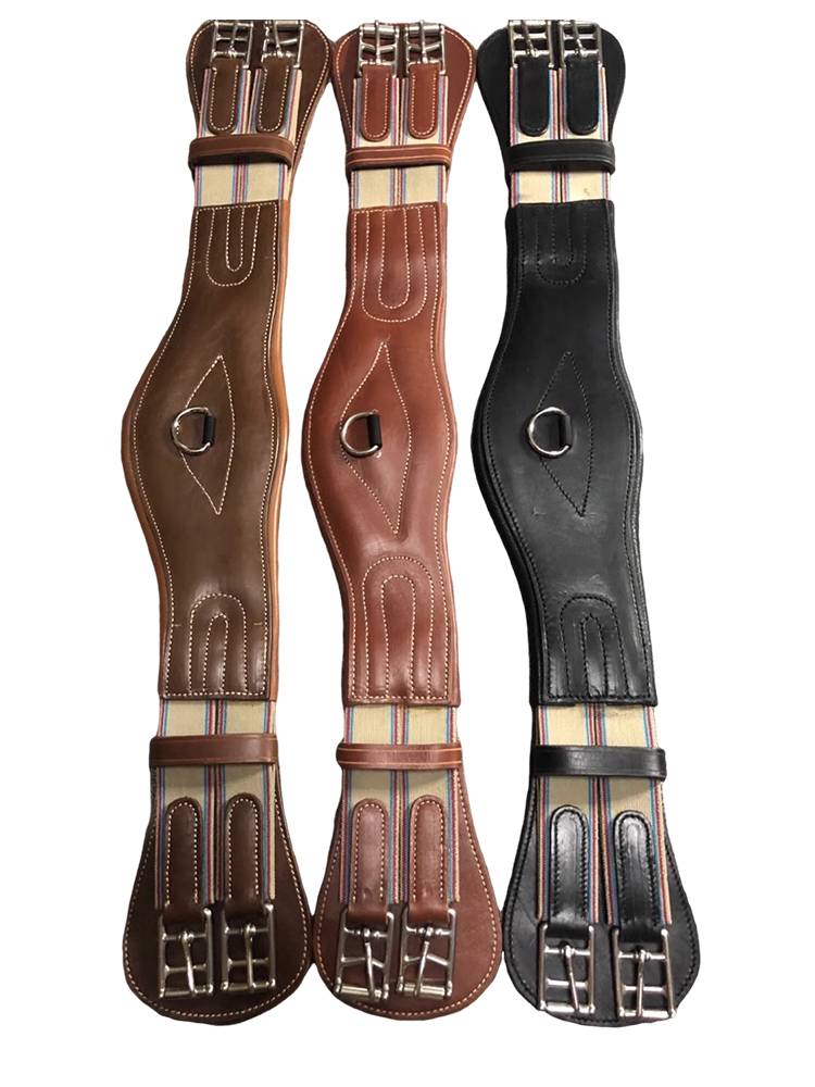 The horse's belly and the horse's boot and veal, and the horse's saddle parts