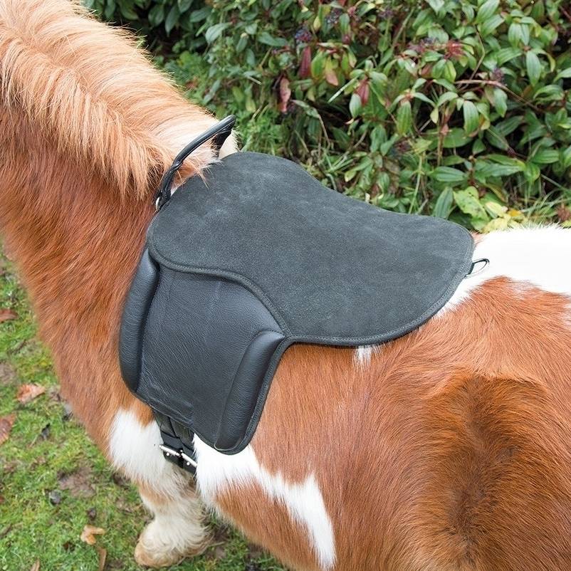 British Shires-Aviemore Children's Saddle Postel Pony Schaterland Pony General An 8201008