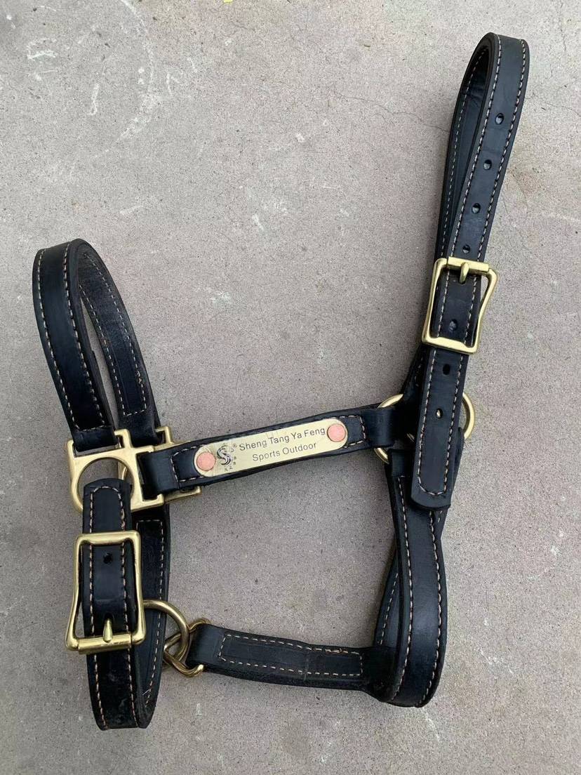 I've got a horse-skin and a horse-snatch with a real leather button