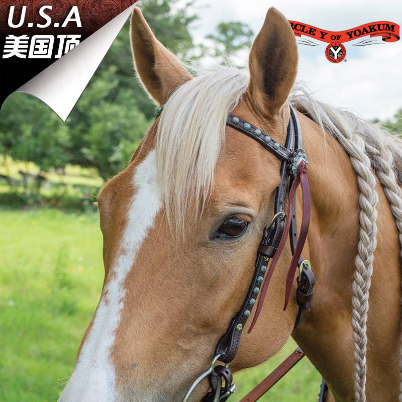American CY Western saddle accessories Shuile chest belt set bronze bunch pneumatic psoriac equestrian equestrian accessories