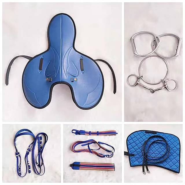 The saddles, the saddles, the saddles, the saddles, the saddles