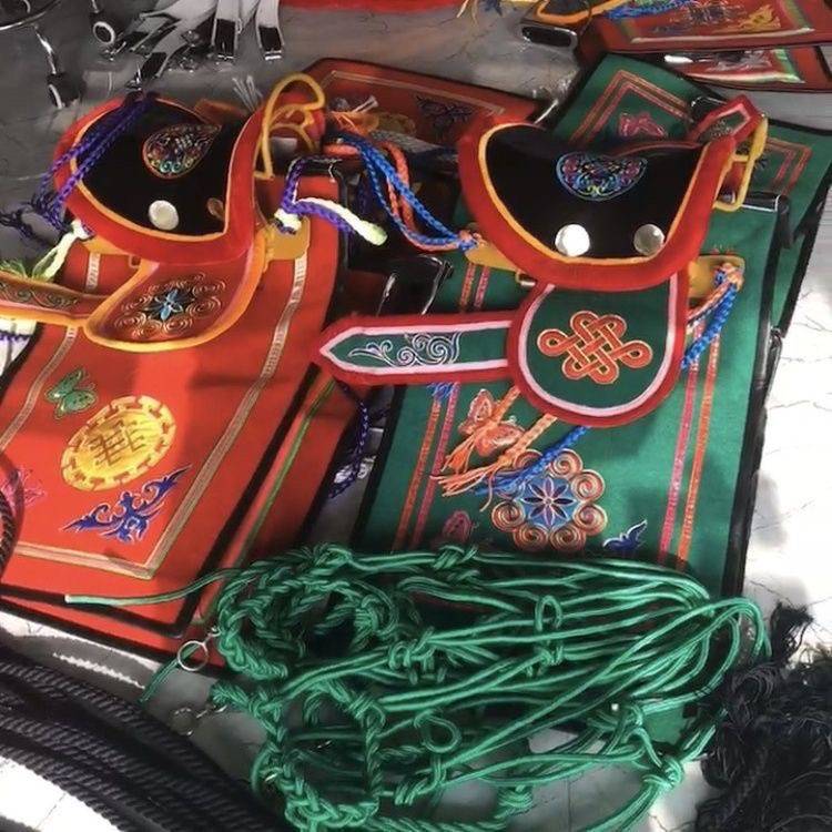 Green camel saddle