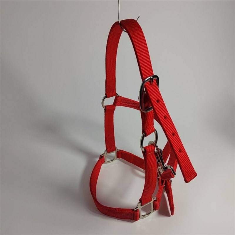 Tie donkey horse mule artifact cage dragon set with chewing bolt, horses, horses, cow tope, saddle cushion tuning