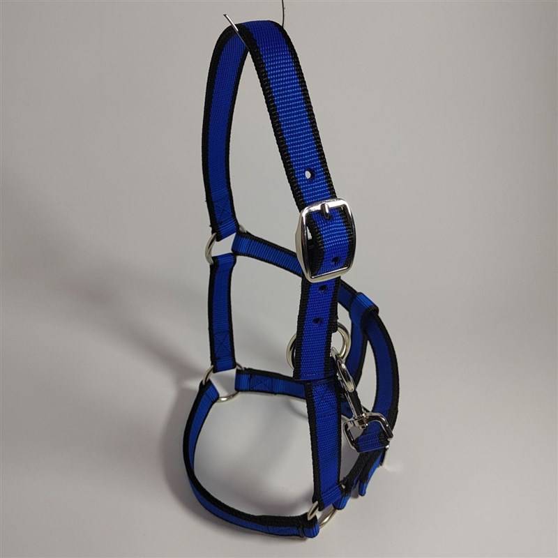 Blue peg S Code (under shoulder height of 1 m)-M22