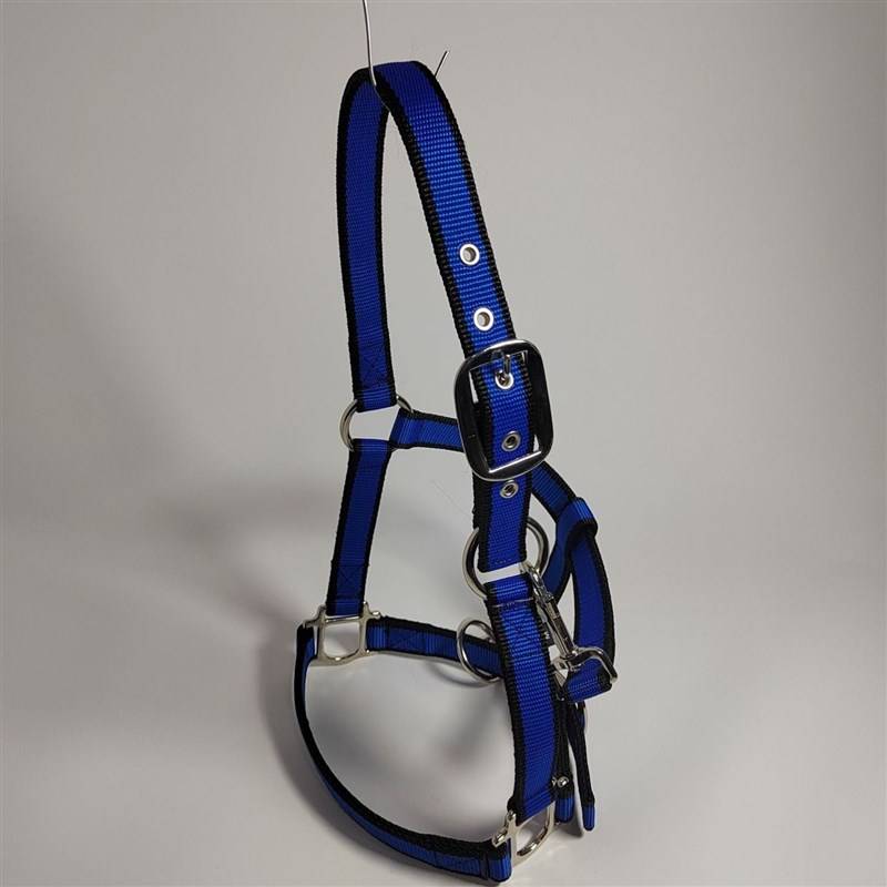 Blue enhanced S code (under shoulder height of 1 m)-L17